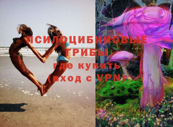 прущие крисы Магас