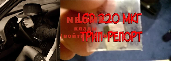 спайс Михайлов