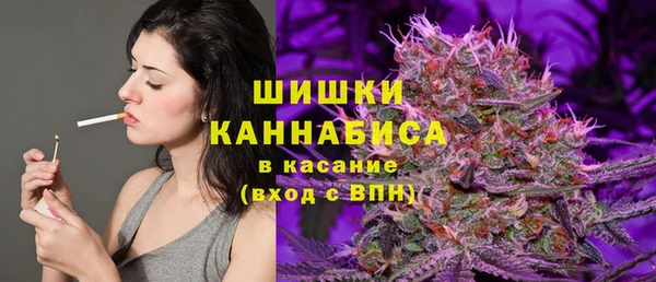 прущие крисы Магас