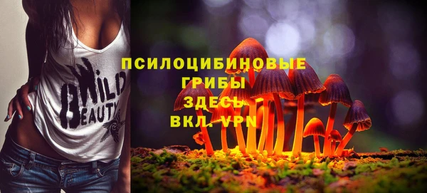 прущие крисы Магас