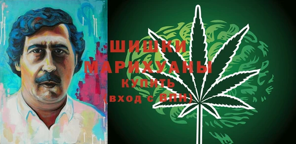 индика Магадан
