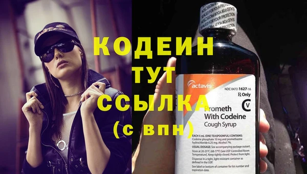 индика Магадан