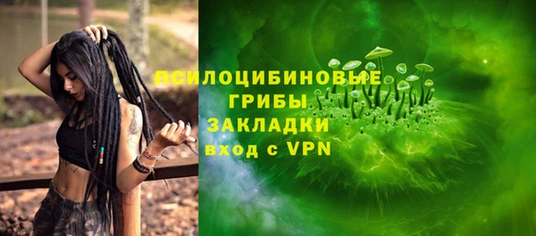 spice Луховицы